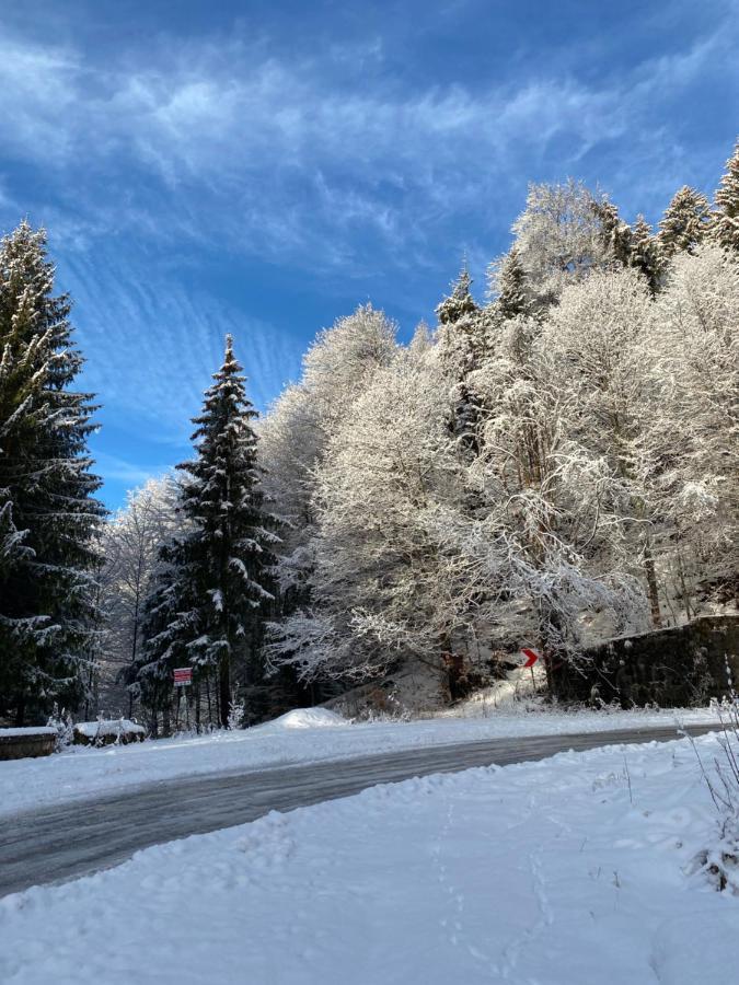 Uphill Residence Sinaia Dış mekan fotoğraf