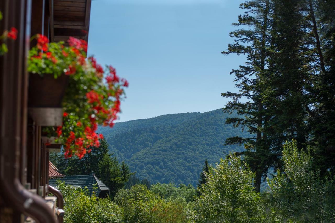 Uphill Residence Sinaia Dış mekan fotoğraf
