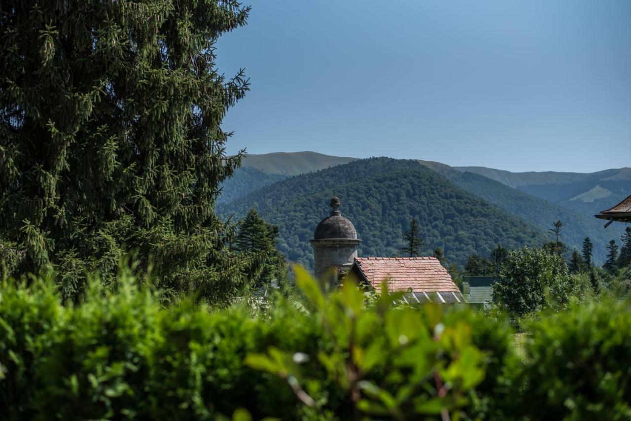Uphill Residence Sinaia Dış mekan fotoğraf